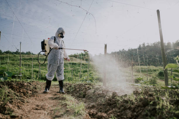 Professional Pest Control in Bonney Lake, WA