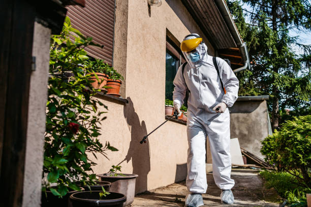 Professional Pest Control in Bonney Lake, WA