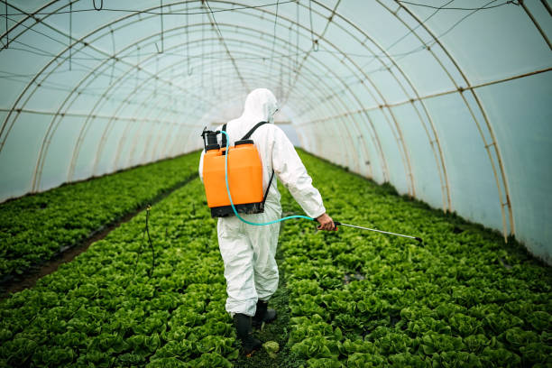 Pest Control Cost in Bonney Lake, WA