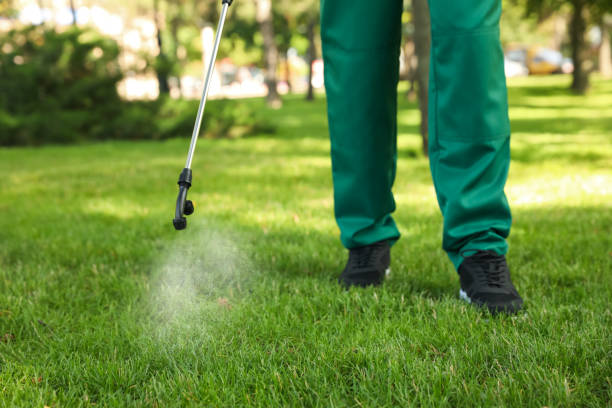 Best Bed Bug Extermination  in Bonney Lake, WA