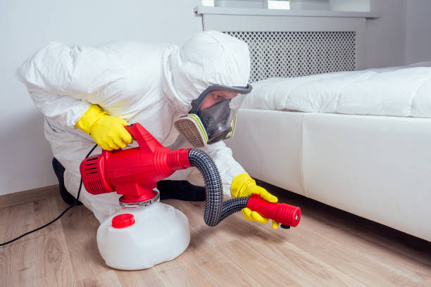 Pest Control for Restaurants in Bonney Lake, WA