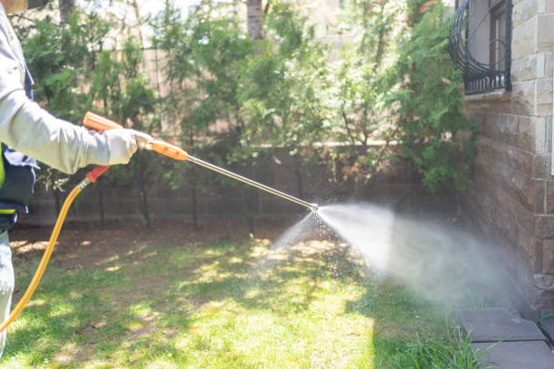 Best Wasp Removal Services  in Bonney Lake, WA