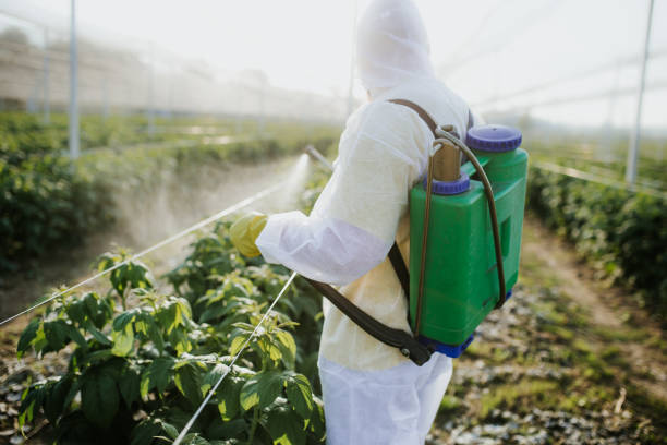 Best Ant Control Services  in Bonney Lake, WA